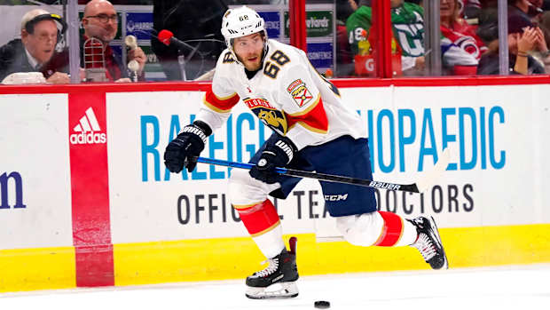 mike-hoffman-panthers